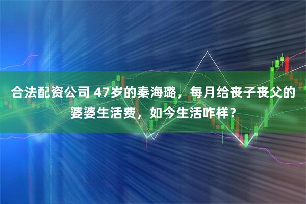 合法配资公司 47岁的秦海璐,每月给丧子丧父的婆婆生活费,如今生活咋样?