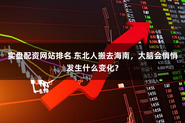 实盘配资网站排名 东北人搬去海南，大脑会悄悄发生什么变化？