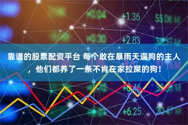 靠谱的股票配资平台 每个敢在暴雨天遛狗的主人，他们都养了一条不肯在家拉屎的狗！