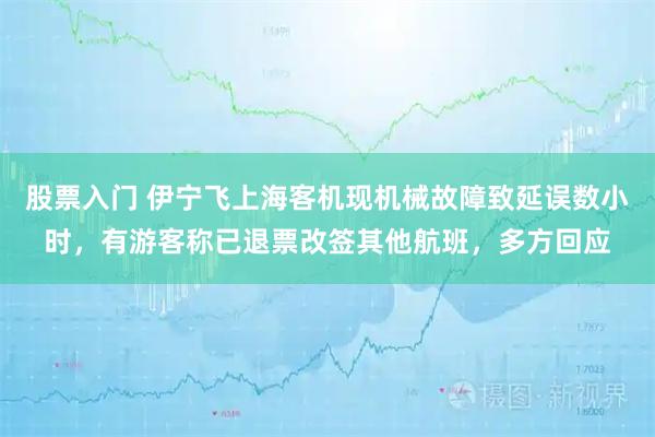 股票入门 伊宁飞上海客机现机械故障致延误数小时，有游客称已退票改签其他航班，多方回应