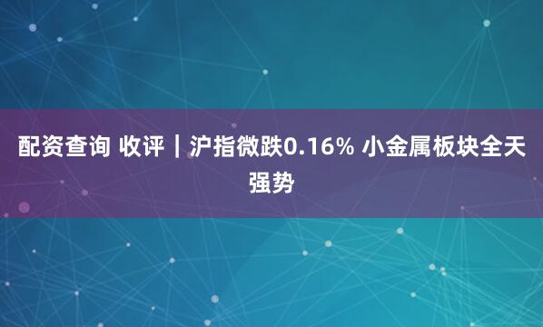 配资查询 收评｜沪指微跌0.16% 小金属板块全天强势